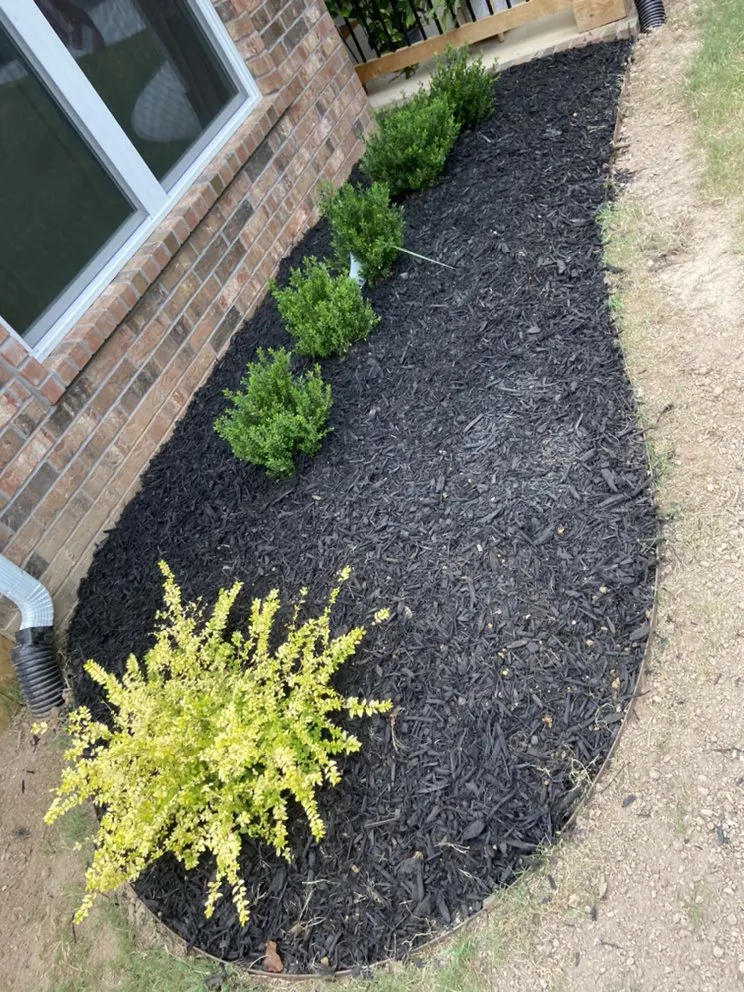 Local outdoor landscaping experts serving Springdale, AR - Arkscape