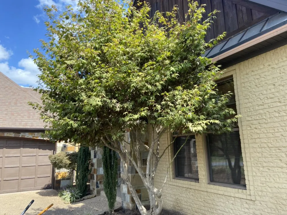 Expert outdoor landscaping for outdoor upgrades across Springdale, AR - Arkscape