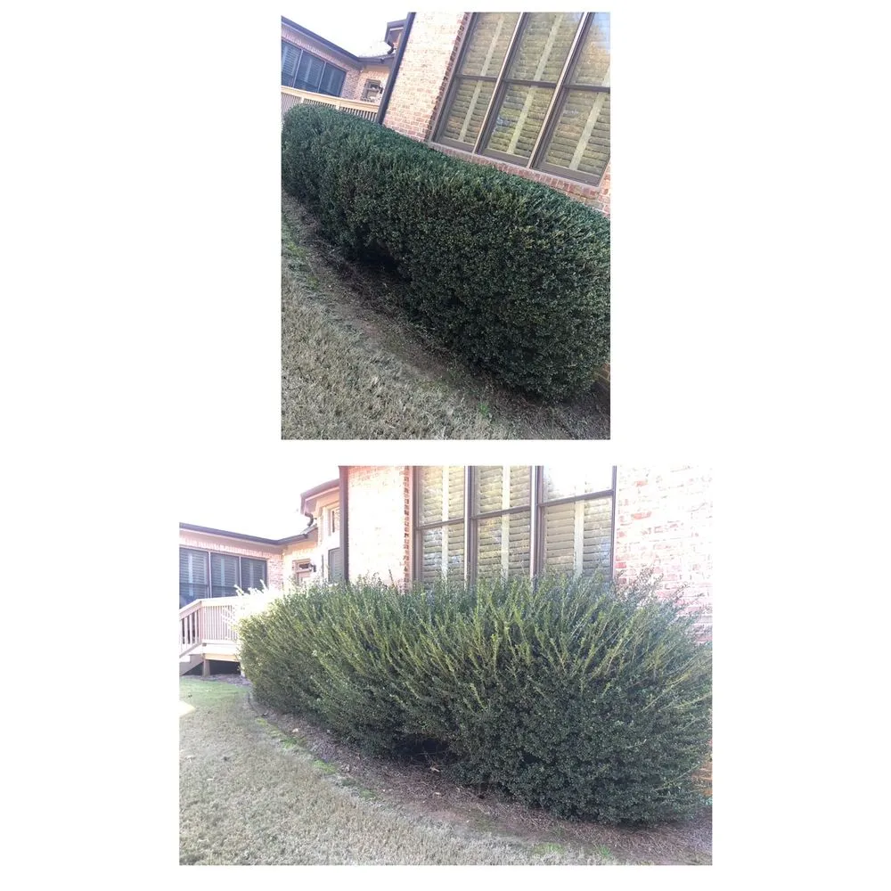 Affordable lawn mowing service in Dallas, GA - Arl Home Services