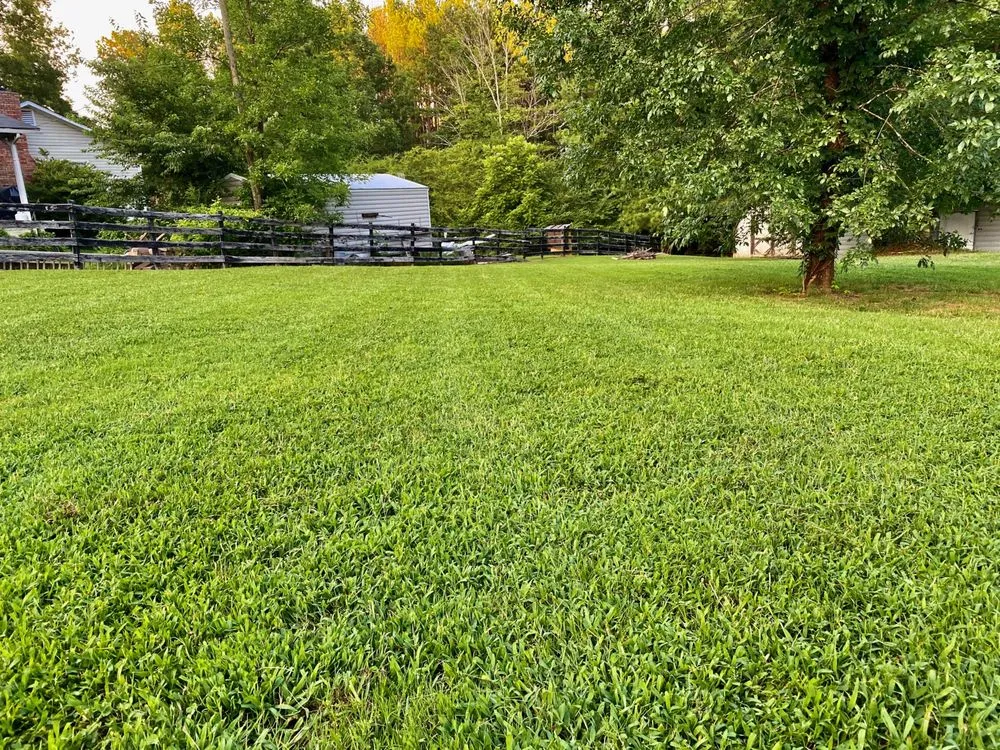 Professional lawn mowing service in Dallas, GA by Arl Home Services