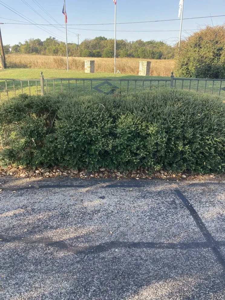 Custom landscape design in Buda, TX - A.R.L. Landscape maintenance