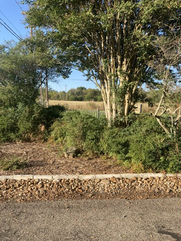 Professional landscaping services in Buda, TX by A.R.L. Landscape maintenance