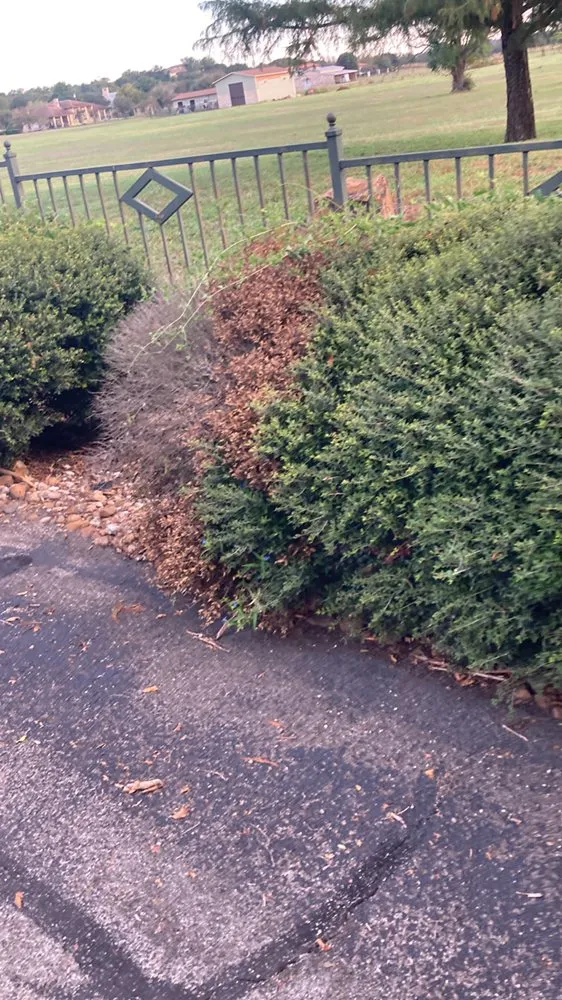 Trusted garden landscaping experts serving Buda, TX - A.R.L. Landscape maintenance