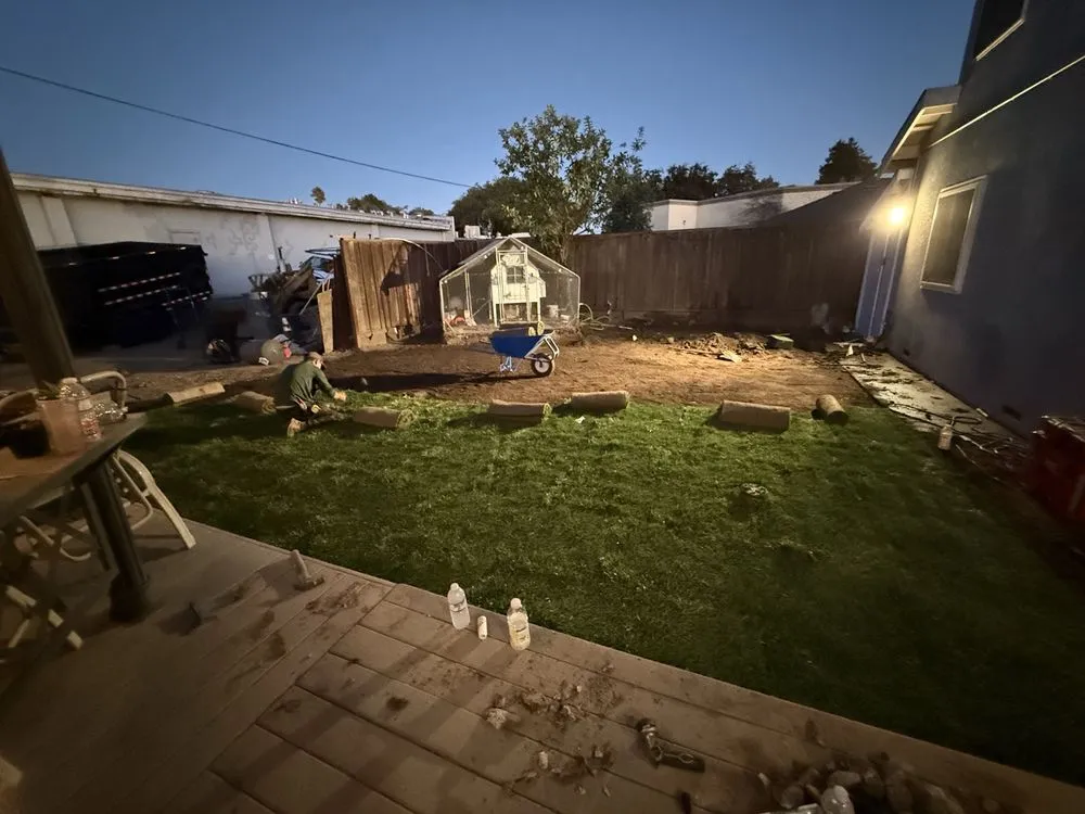 Top-rated landscape installation in Fremont, CA - Arlandtree