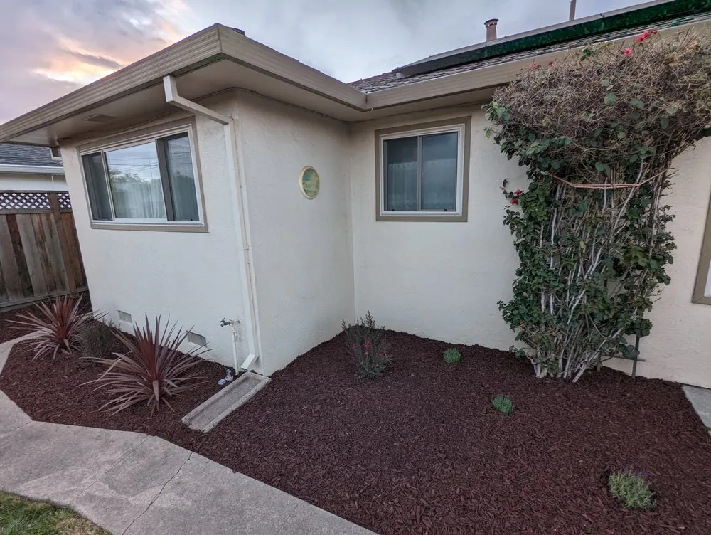 Top-rated yard maintenance in Fremont, CA by Arlandtree