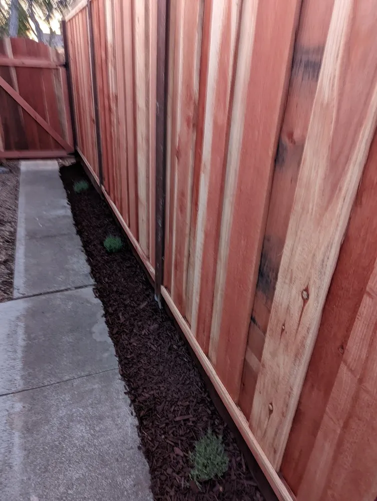 Reliable landscaping services near you in Fremont, CA by Arlandtree