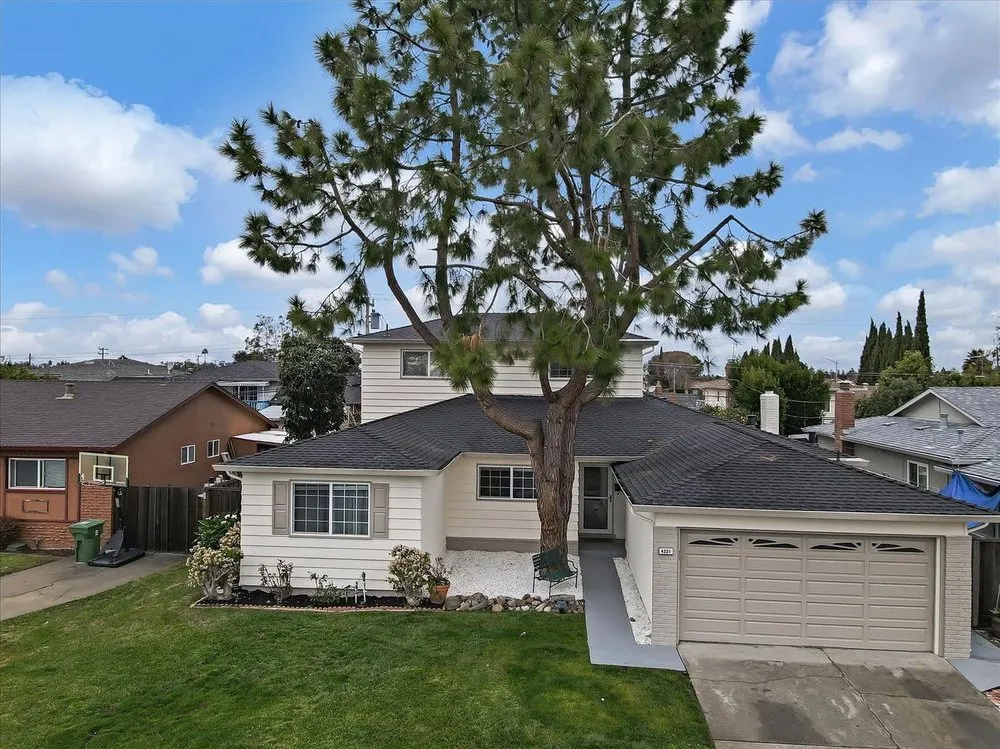 Affordable lawn mowing service experts serving Fremont, CA - Arlandtree