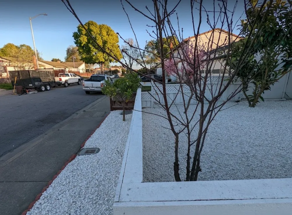 Reliable yard cleanup service for year-round maintenance across Fremont, CA - Arlandtree