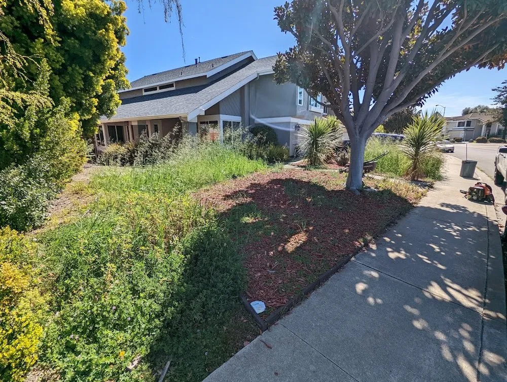 Custom garden landscaping for residential properties across Fremont, CA - Arlandtree