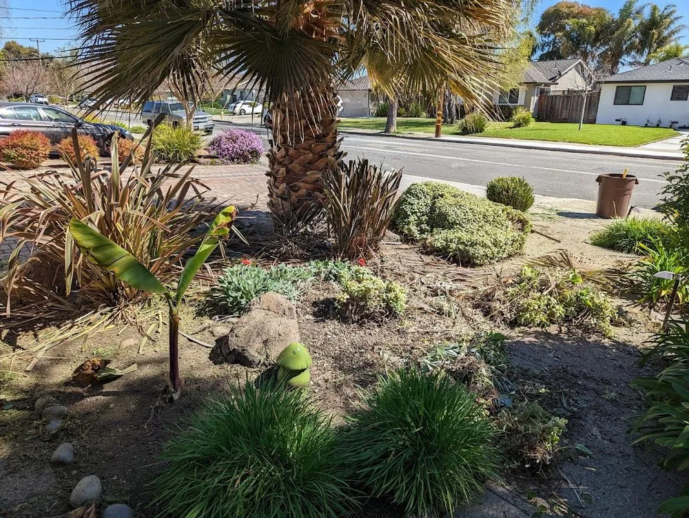 Expert outdoor landscaping with custom design in Fremont, CA by Arlandtree