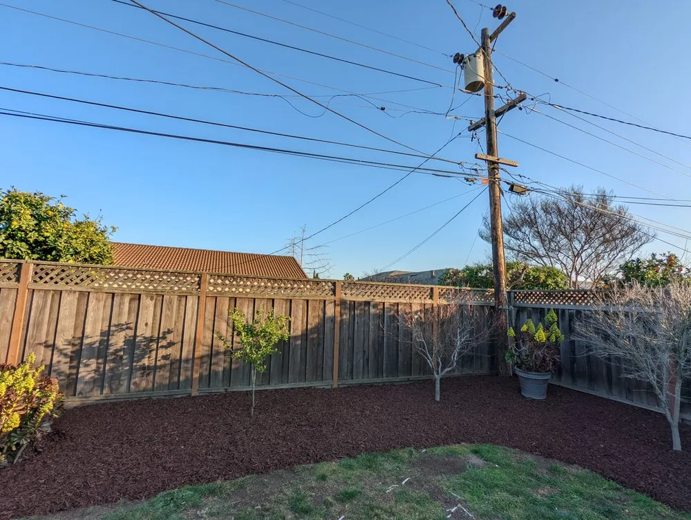 Top-rated garden landscaping for beautiful yards in Fremont, CA by Arlandtree