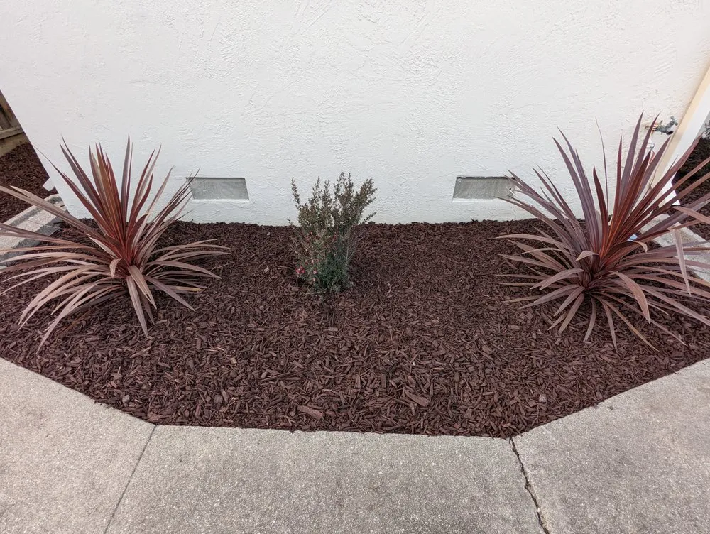 Affordable lawn mowing service in Fremont, CA - Arlandtree