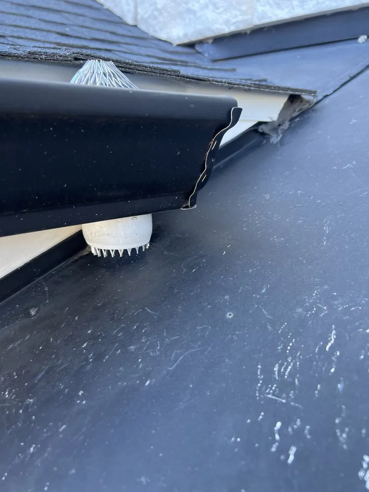 Expert outdoor landscaping for outdoor upgrades across Arlington, VA - Arlington Cuts Tree Service & Landscaping