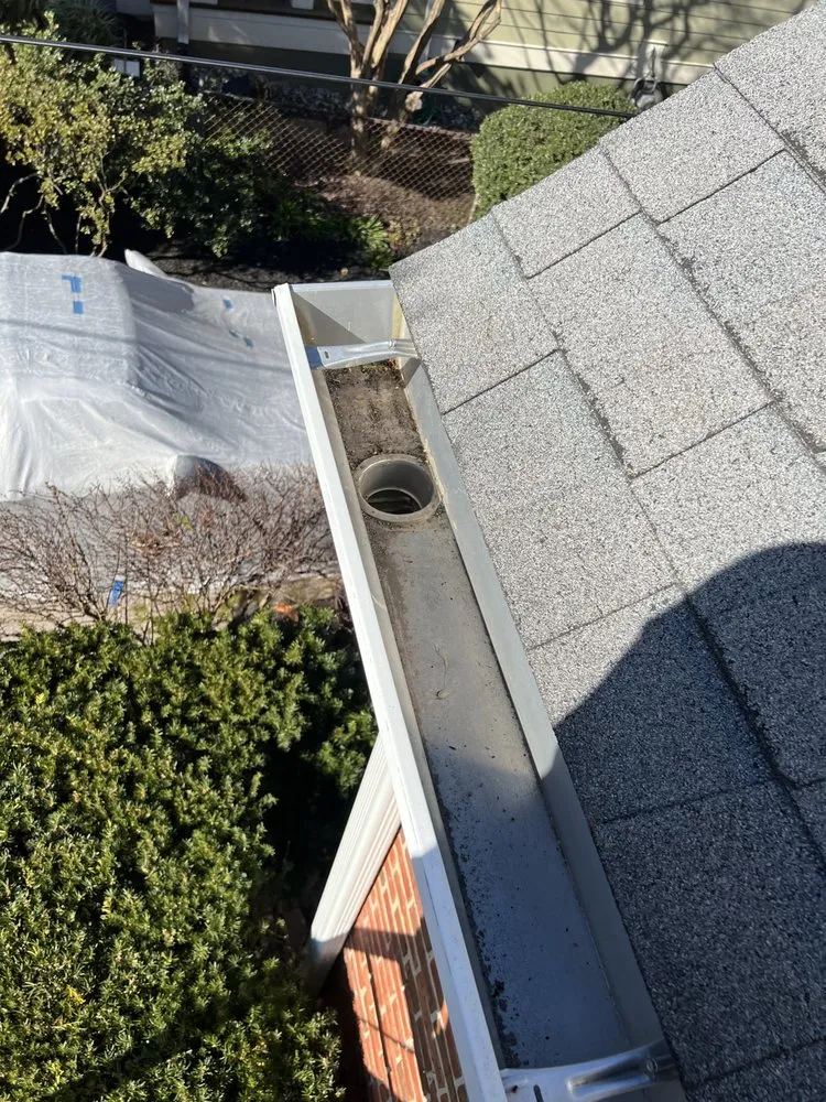 Top-rated yard maintenance in Arlington, VA by Arlington Cuts Tree Service & Landscaping