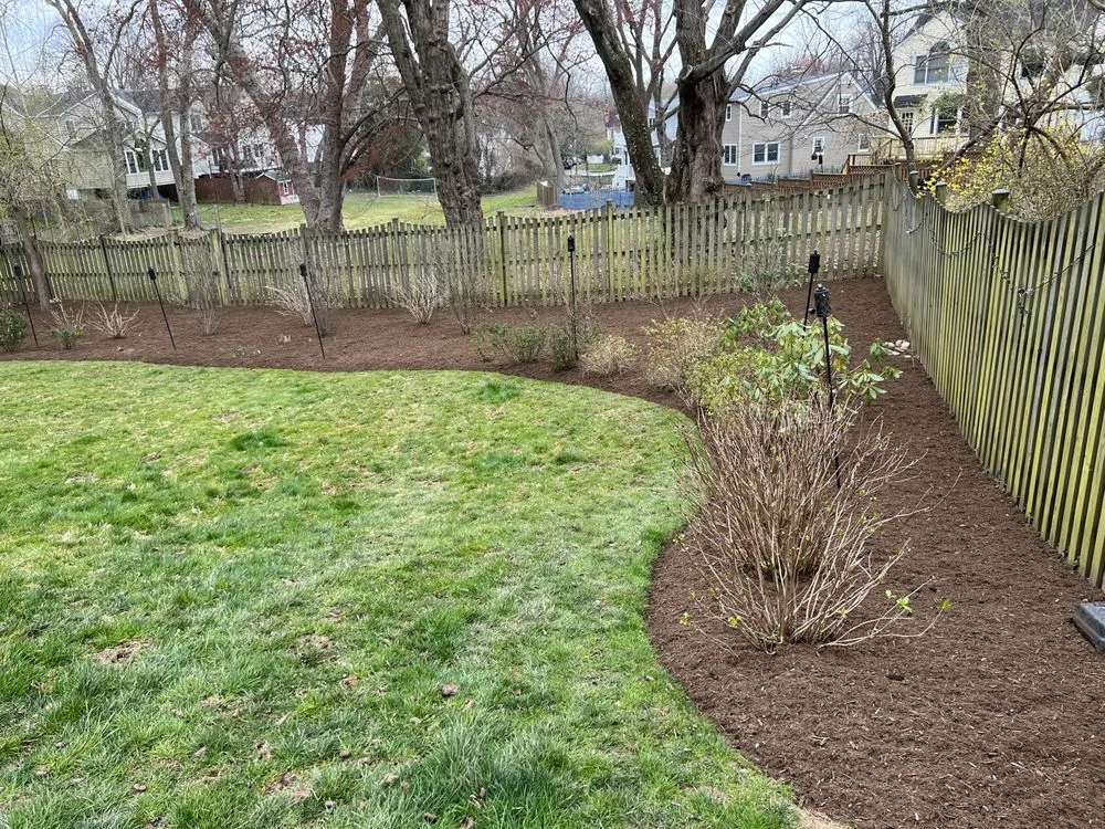 Affordable lawn mowing service for year-round maintenance in Arlington, VA by Arlington Cuts Tree Service & Landscaping