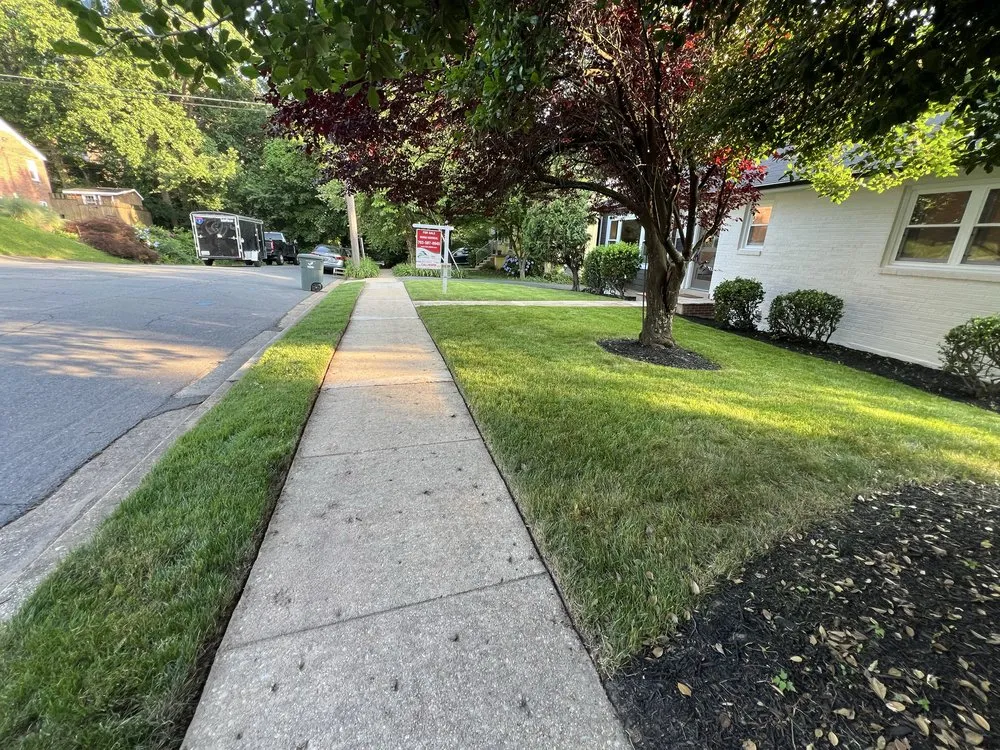 Expert landscaping services for outdoor upgrades in Arlington, VA by Arlington Cuts Tree Service & Landscaping