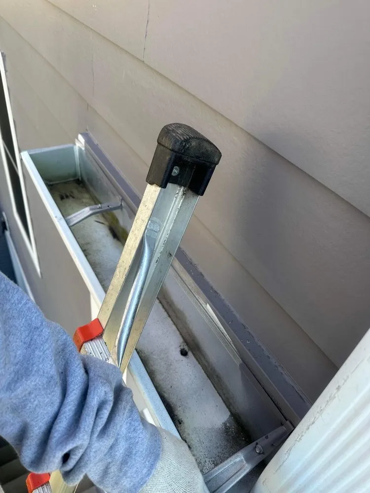 Affordable lawn mowing service for homes across Arlington, VA - Arlington Cuts Tree Service & Landscaping