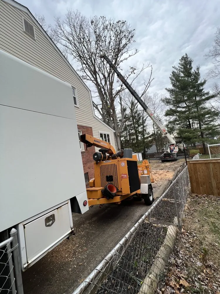 Professional outdoor landscaping in Arlington, VA by Arlington Cuts Tree Service & Landscaping