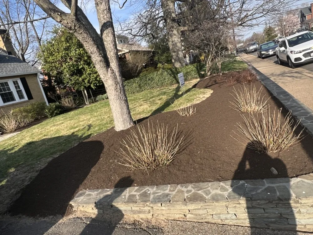 Local residential landscaping for homes in Arlington, VA by Arlington Cuts Tree Service & Landscaping