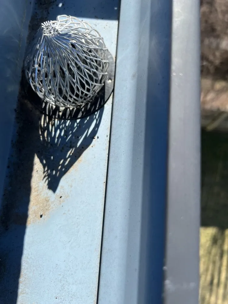 Trusted yard maintenance for outdoor upgrades in Arlington, VA by Arlington Cuts Tree Service & Landscaping