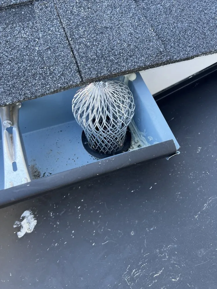 Custom landscape design experts serving Arlington, VA - Arlington Cuts Tree Service & Landscaping