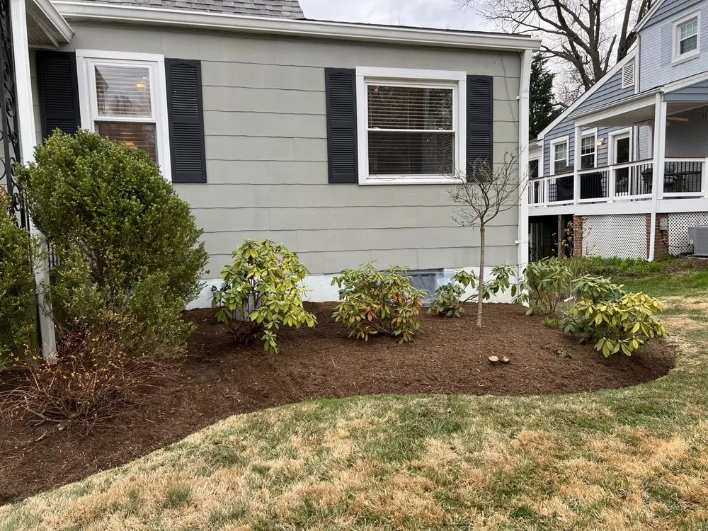 Trusted landscaping services for outdoor upgrades across Arlington, VA - Arlington Cuts Tree Service & Landscaping