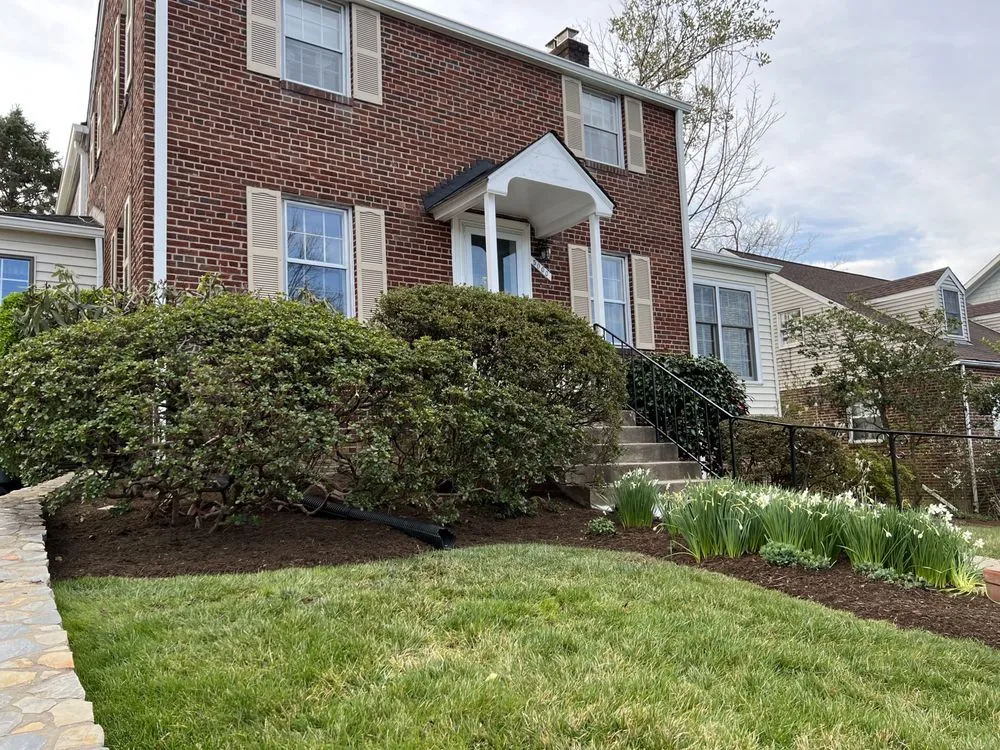 Professional lawn care service for year-round maintenance across Arlington, VA - Arlington Cuts Tree Service & Landscaping