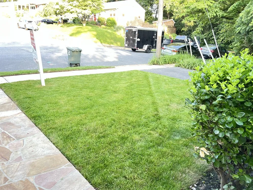 Expert landscape design experts serving Arlington, VA - Arlington Cuts Tree Service & Landscaping