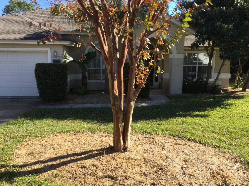 Reliable yard maintenance in Jacksonville, FL by Arlington Green Mowers