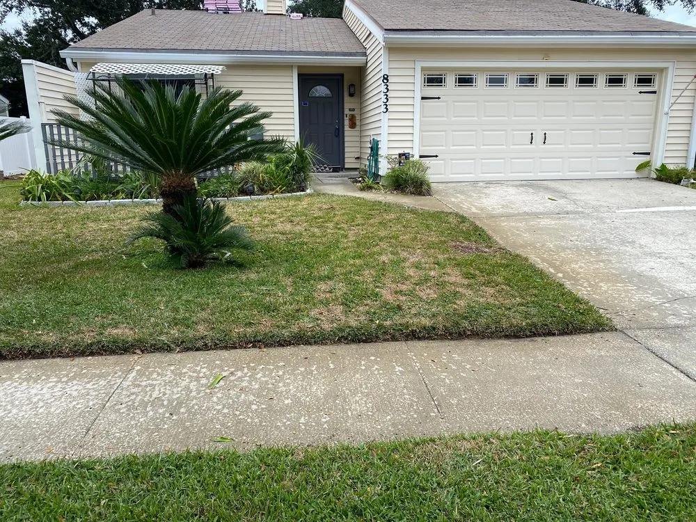 Top-rated lawn care service with custom design across Jacksonville, FL - Arlington Green Mowers