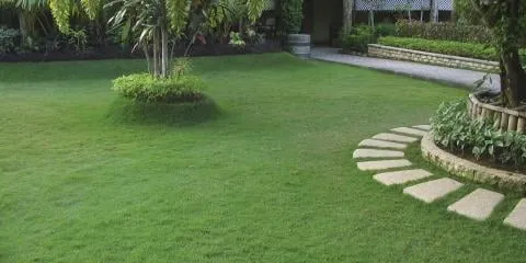 Affordable residential landscaping in Arlington, TN - Arlington Landscaping