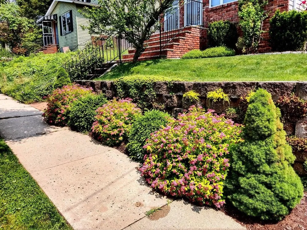 Trusted yard cleanup service experts serving North Arlington, NJ - Arlington Landscaping