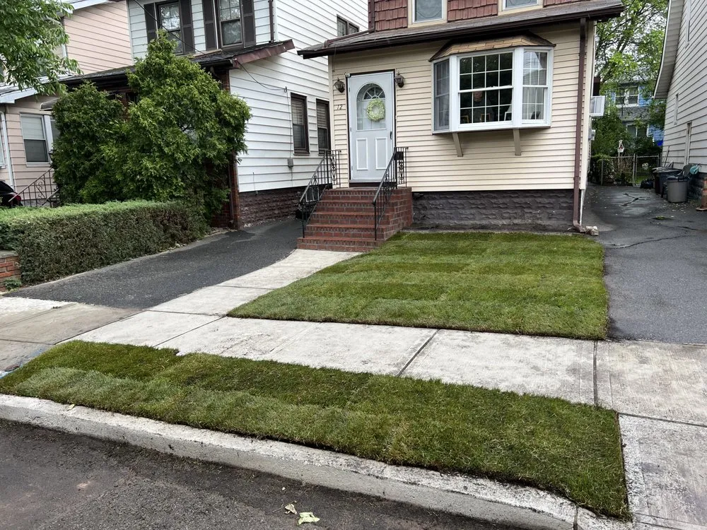 Trusted yard cleanup service in North Arlington, NJ by Arlington Landscaping