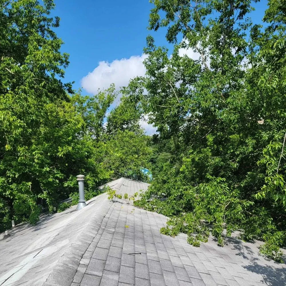 Expert lawn care service in Round Rock, TX by Arlo Tree Services and Landscapes