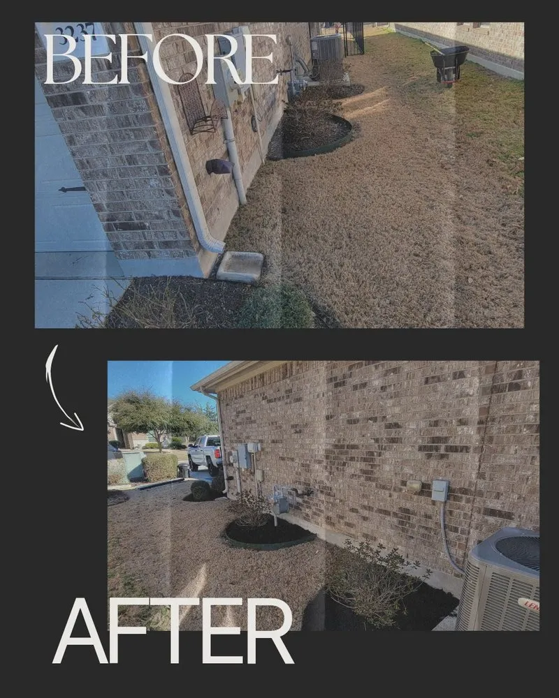 Trusted yard cleanup service near you across Round Rock, TX - Arlo Tree Services and Landscapes