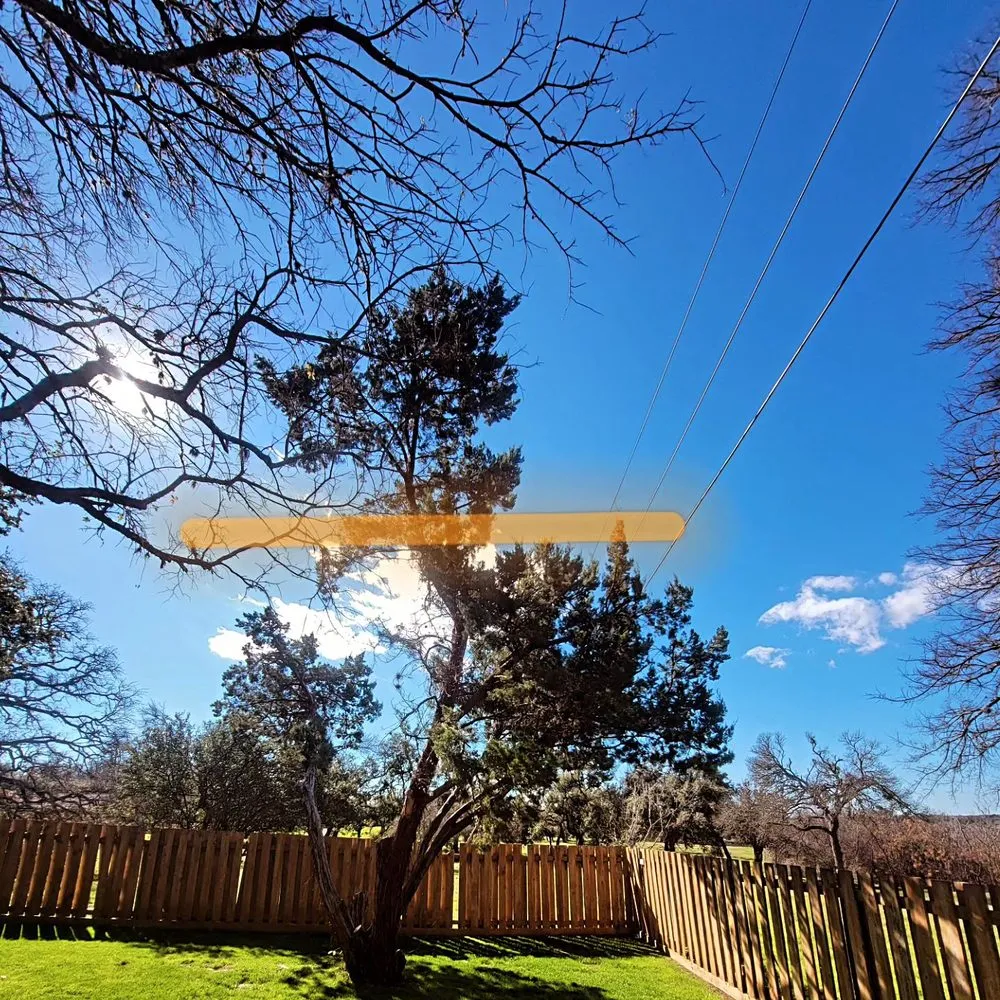 Professional landscaping services with custom design in Round Rock, TX by Arlo Tree Services and Landscapes