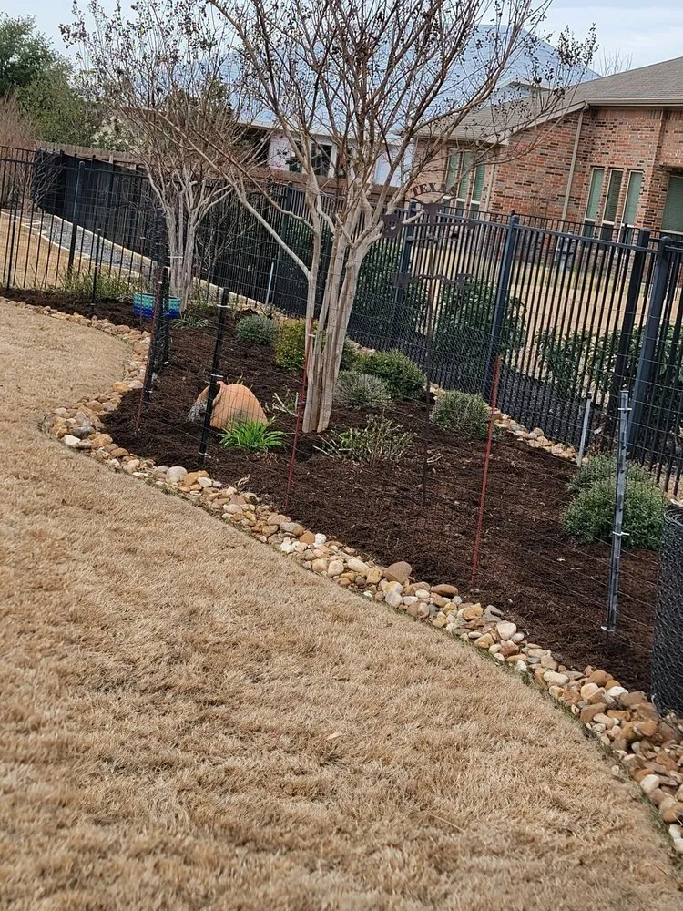 Expert yard maintenance in Round Rock, TX by Arlo Tree Services and Landscapes