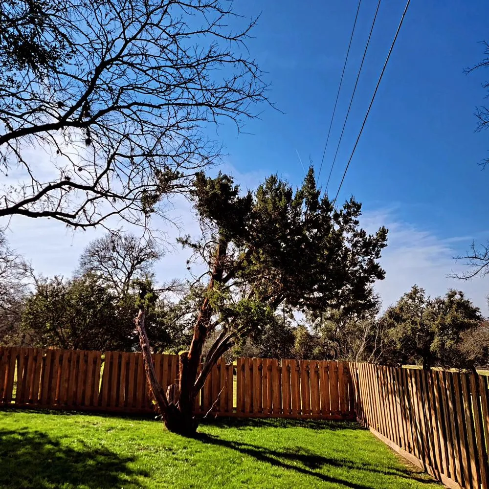 Reliable landscaping services experts serving Round Rock, TX - Arlo Tree Services and Landscapes