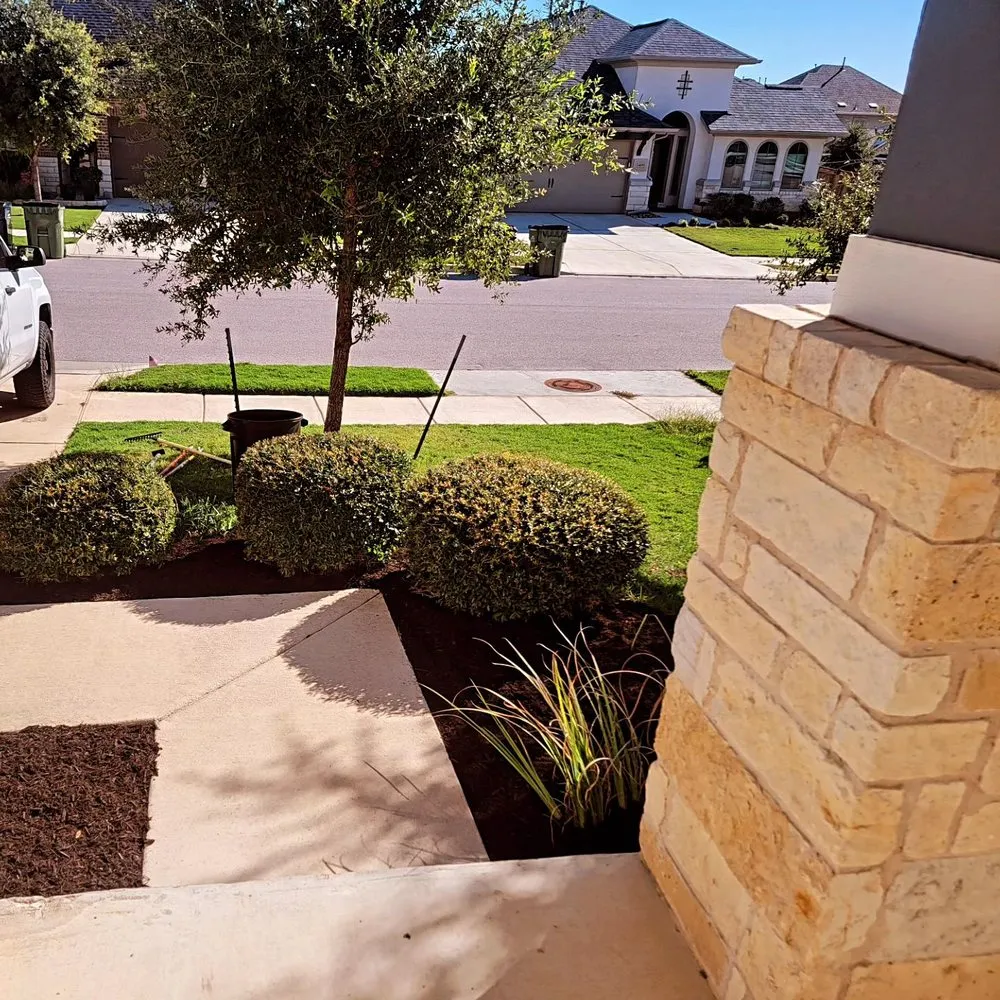 Trusted lawn care service experts serving Round Rock, TX - Arlo Tree Services and Landscapes