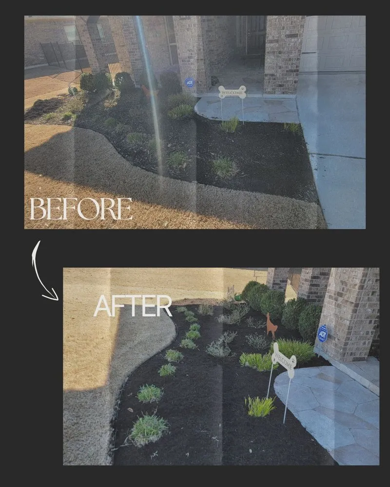 Top-rated outdoor landscaping experts serving Round Rock, TX - Arlo Tree Services and Landscapes