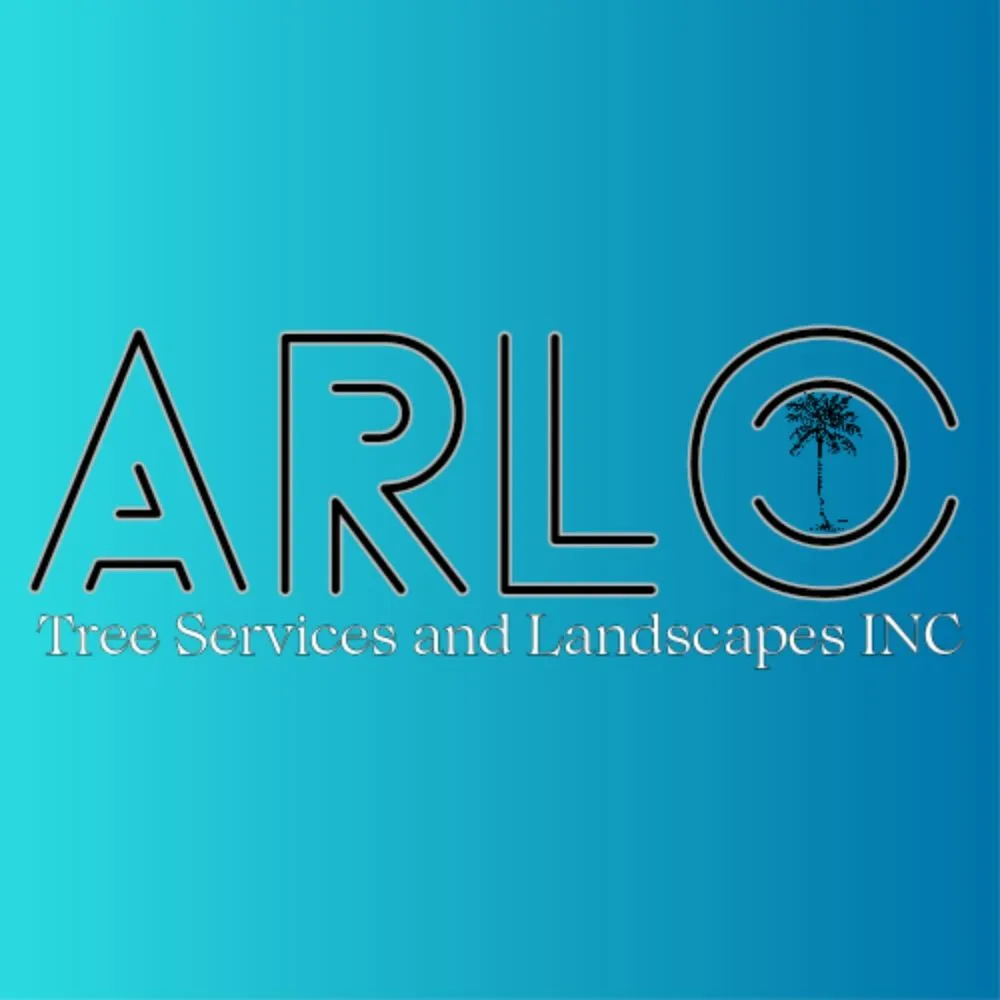 Expert landscape design with custom design in Round Rock, TX by Arlo Tree Services and Landscapes