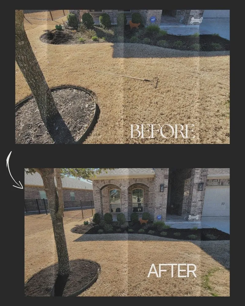 Local landscape design in Round Rock, TX by Arlo Tree Services and Landscapes