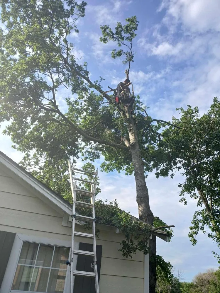 Reliable residential landscaping in Cleburne, TX - Arlon's Lawn & Tree Services