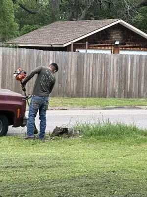 Arlon's Lawn & Tree Services Logo