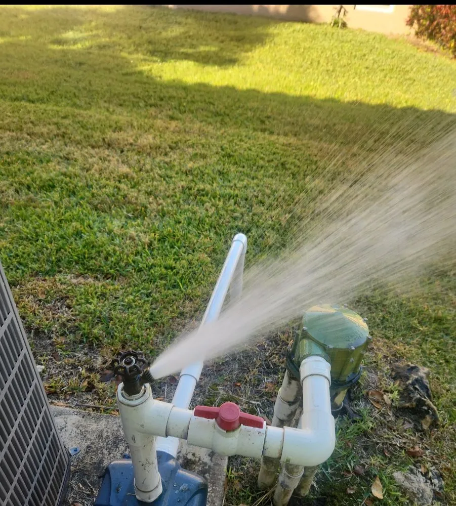 Affordable lawn care service experts serving Hollywood, FL - arls landscape