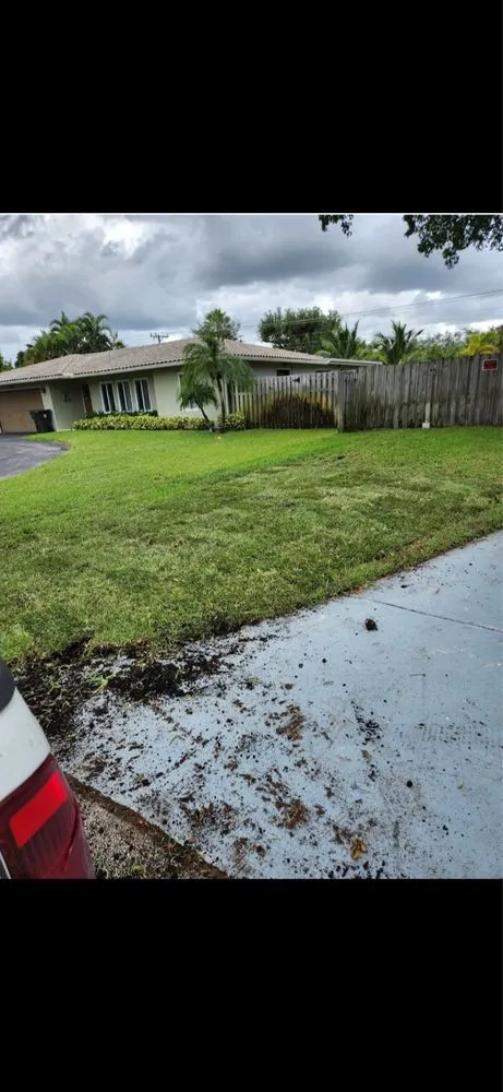 Local outdoor landscaping experts serving Hollywood, FL - arls landscape