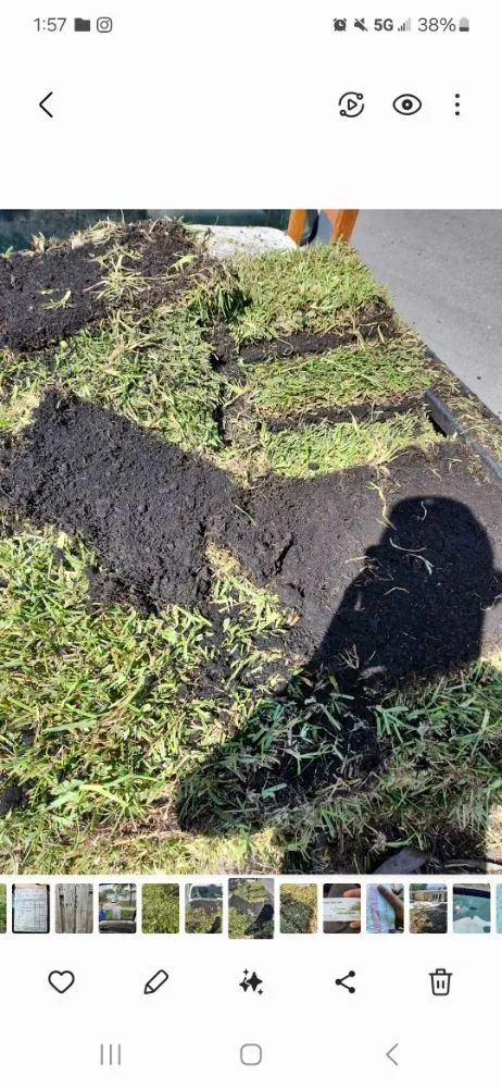 Local residential landscaping experts serving Hollywood, FL - arls landscape