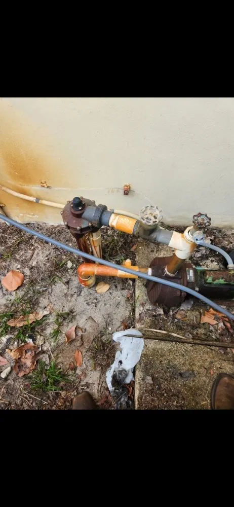 Trusted yard cleanup service experts serving Hollywood, FL - arls landscape