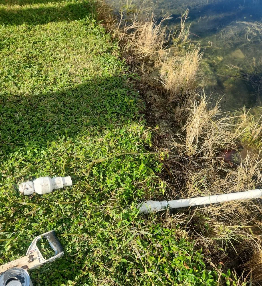 Professional yard maintenance in Hollywood, FL by arls landscape