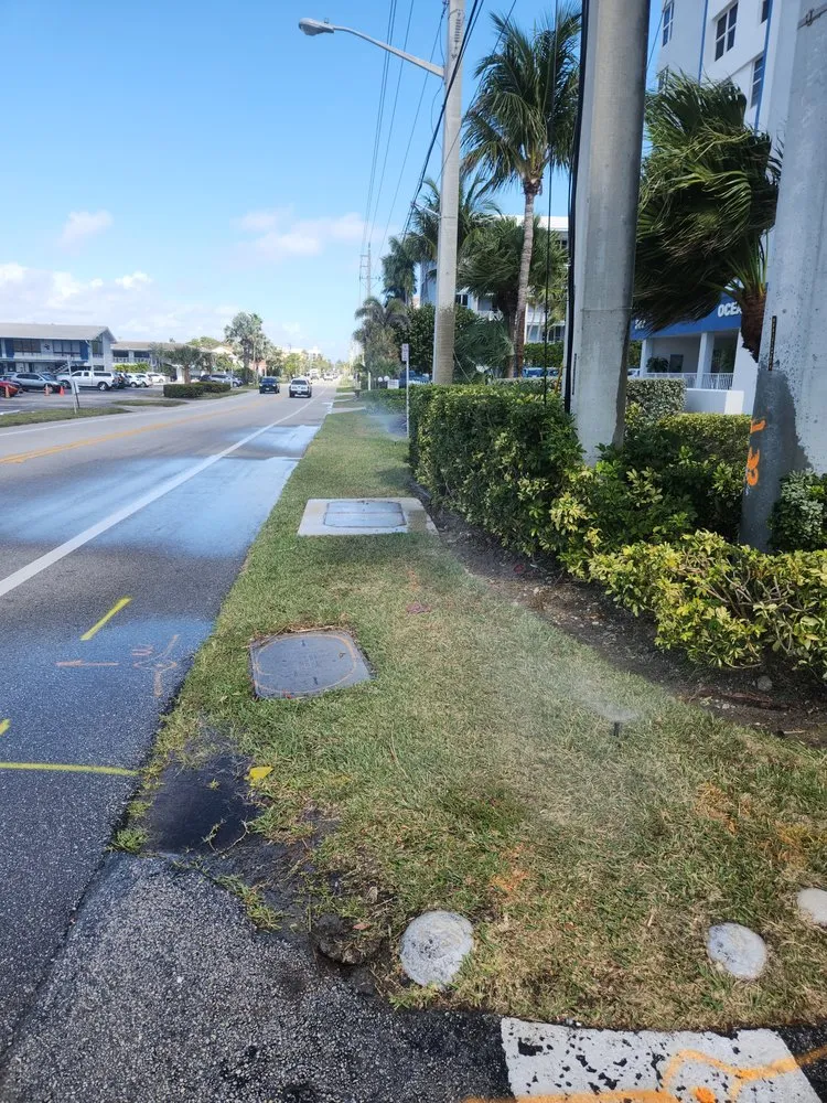 Reliable yard cleanup service in Hollywood, FL - arls landscape